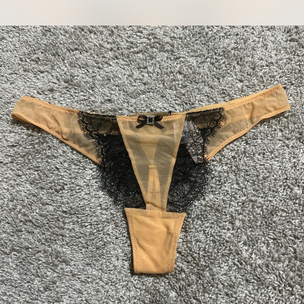 2011 Victoria’s Secret Sheer Mesh and Lace Thong